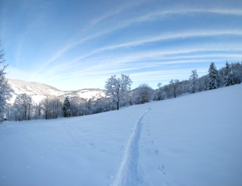 Le chemin ou la destination…?