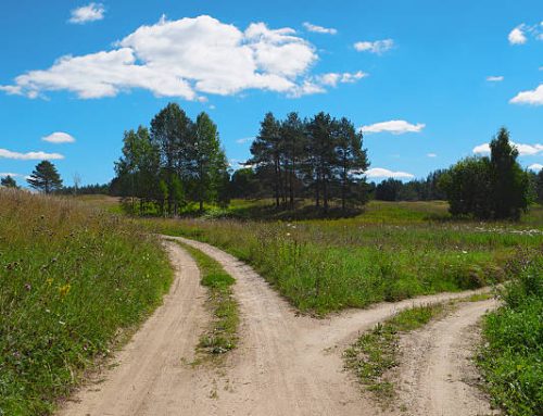 Quel chemin…?
